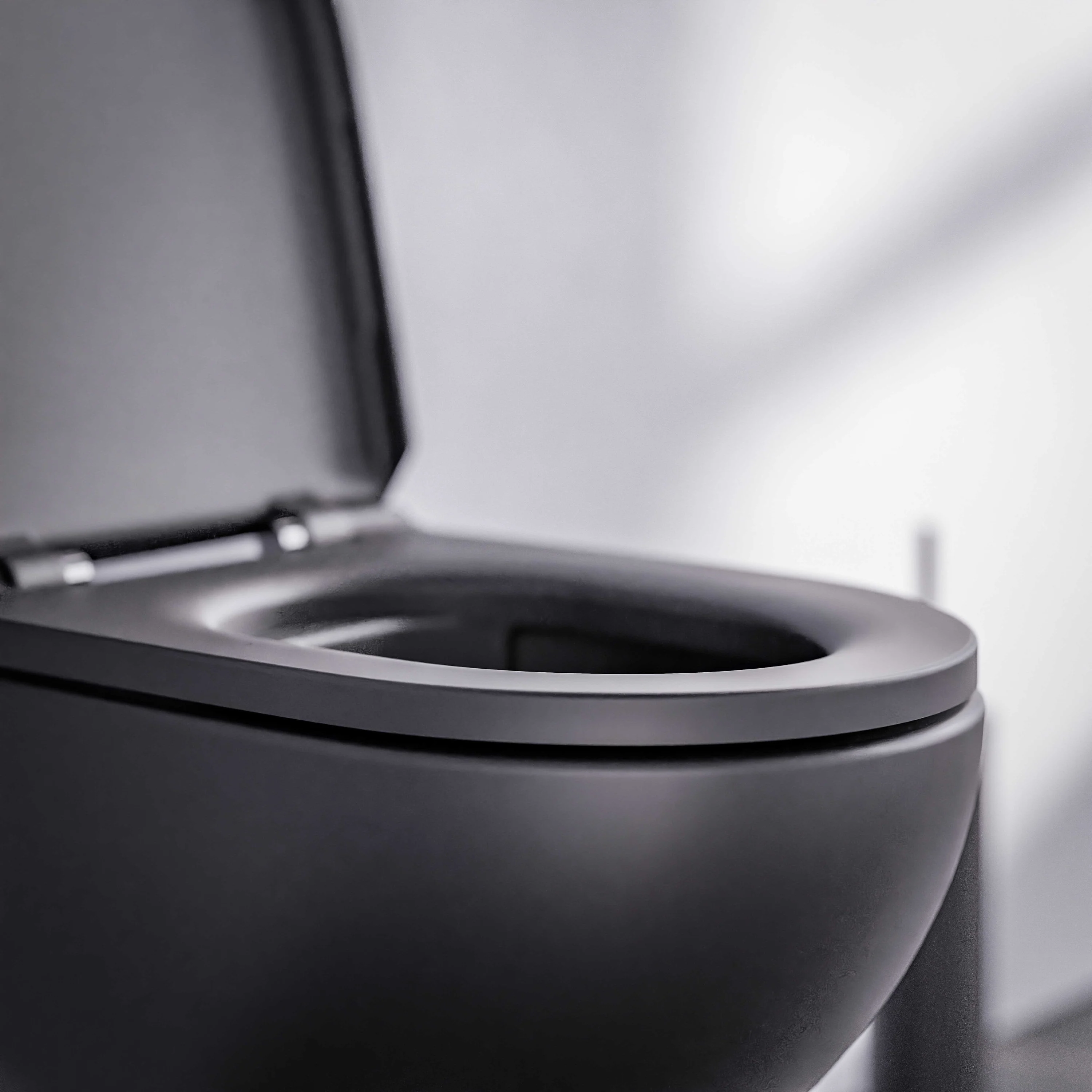 Rimless WC E-9030 - Image 19