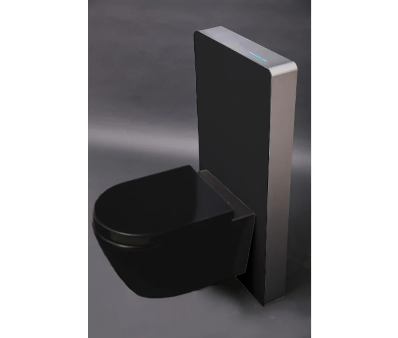 WC komplett paket 33: WC B-8030R Svart - Image 9