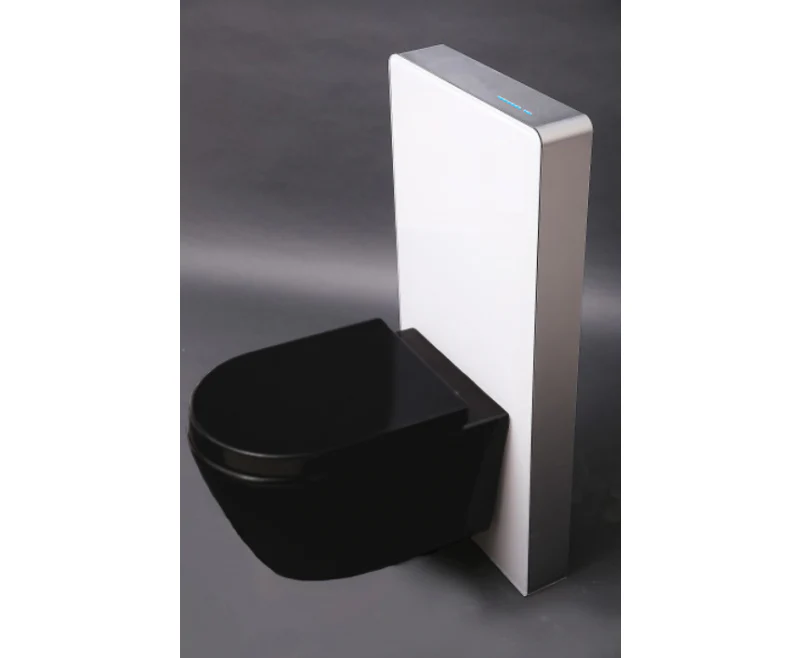 WC komplett paket 39: WC B-8030R Svart - Image 10